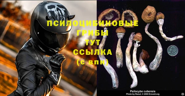 амфетамин Каменка