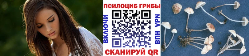Купить  Лодейное Поле  Галлюциногенные грибы GOLDEN TEACHER 